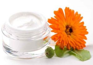 Face cream and calendula flower